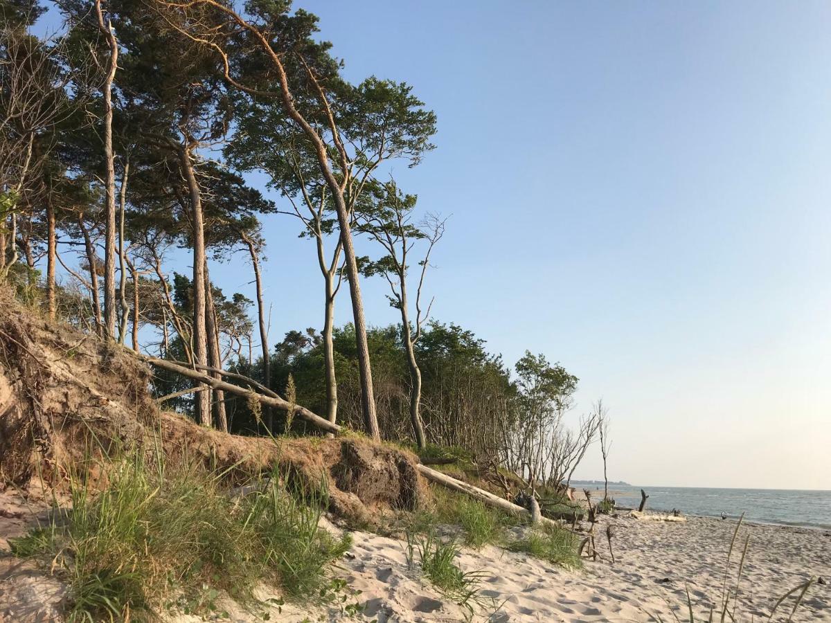 "Leuchtturmhaus" By Ferienhaus Strandgut Born Exteriör bild